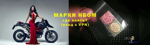 прущие грибы Балабаново