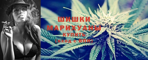 стафф Нефтекумск