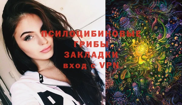 соль ск Балахна